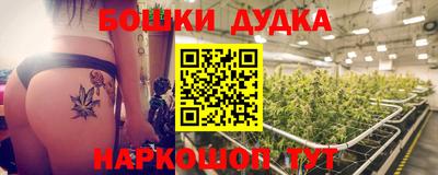 spice Нальчик