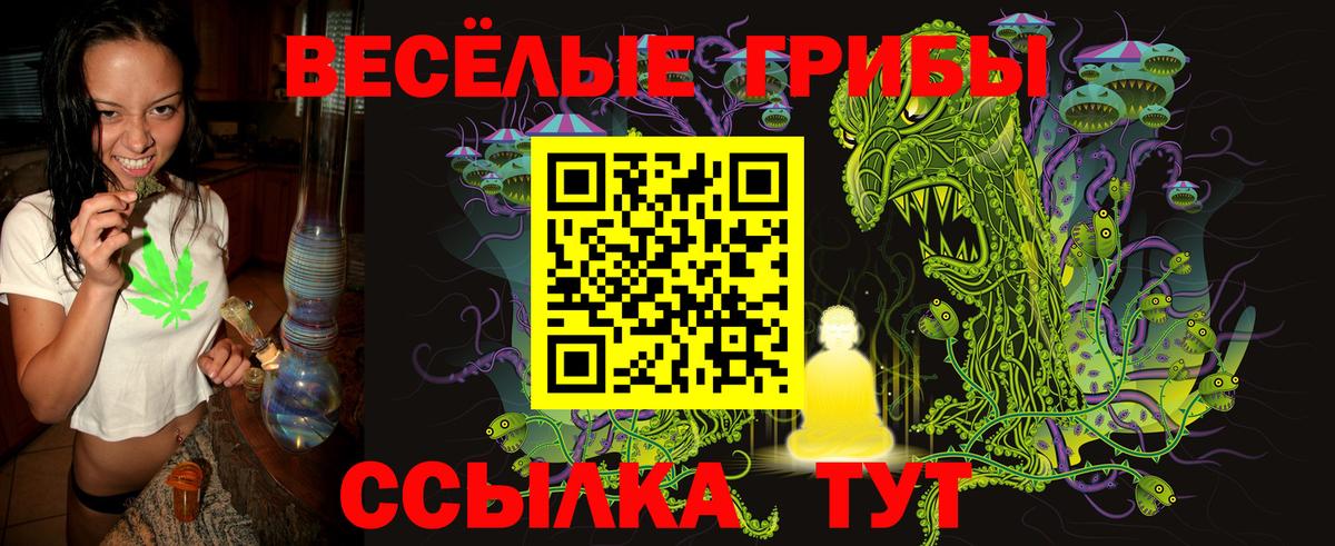 Хабаровск  Галлюциногенные грибы MAGIC MUSHROOMS  Вход с VPN 